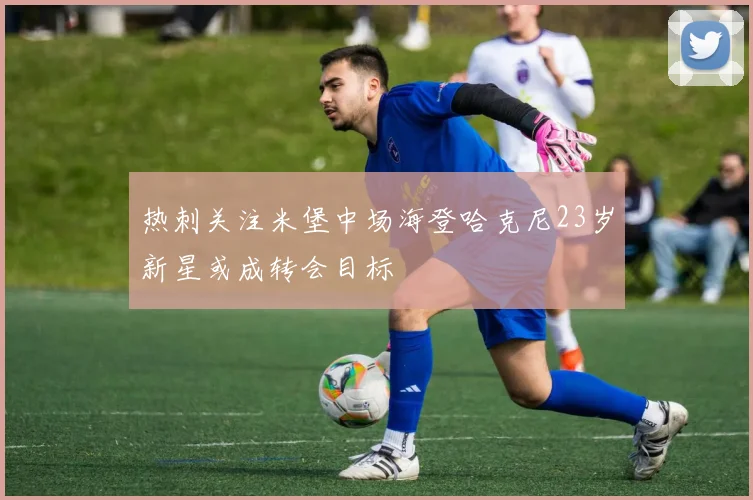 热刺关注米堡中场海登哈克尼23岁新星或成转会目标